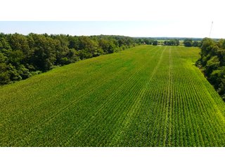 Property photo 16 - LAND AUCTION - 75.2+/- ACRES OFFERED IN 7 TRACTS IN ST. JOSEPH CO., INDIANA